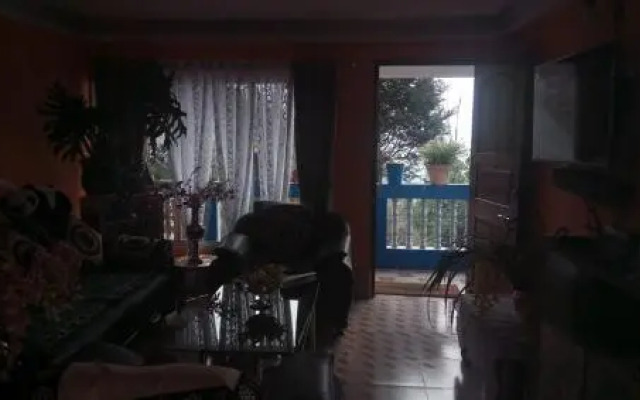 Vamoosetrail Singell