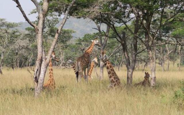 Ruhija Gorilla Lodge