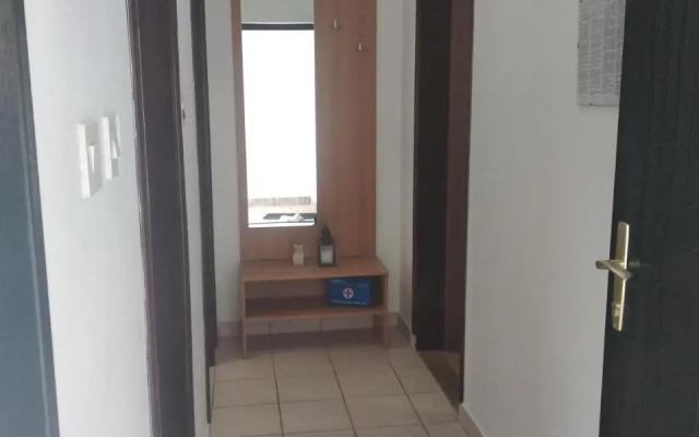 Apartment Savic