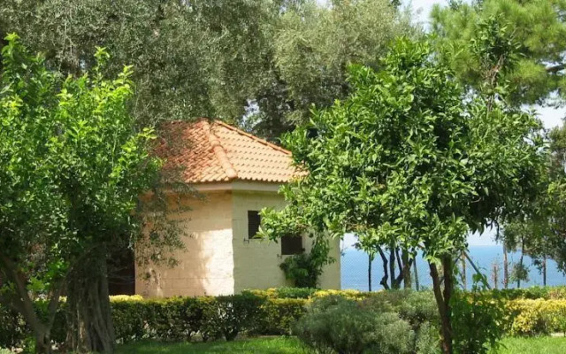 Bluegreen Village