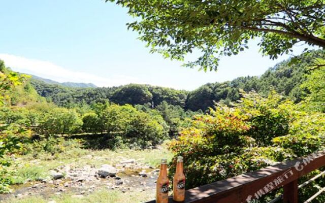 Gapyeong Sansaesori Pension