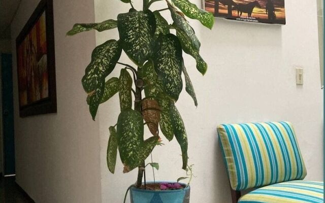 Refugio Llanero Hotel