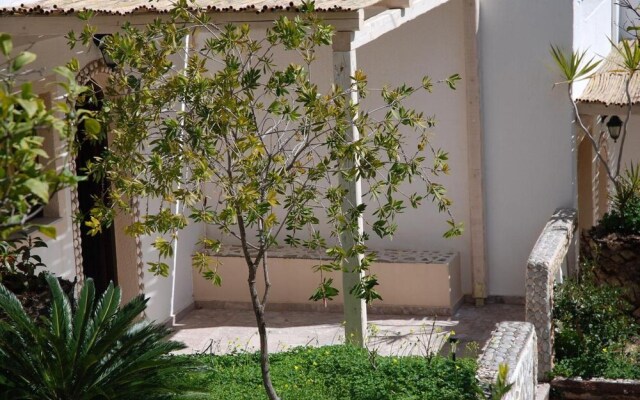 Quiet Place With Efflorescent Garden