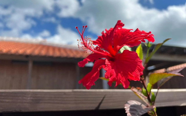 Yagaji Ansanburu - Vacation STAY 43823v