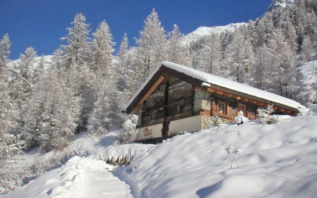 Chalet Epilobes Sarenthein