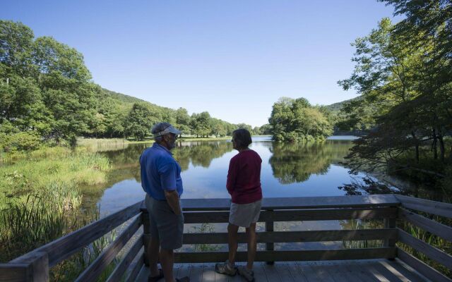 Peaks of Otter Lodge