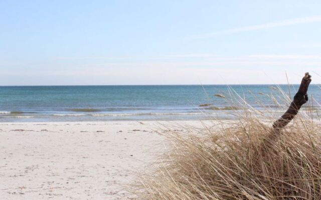 "Loic" - 800m from the sea in Bornholm