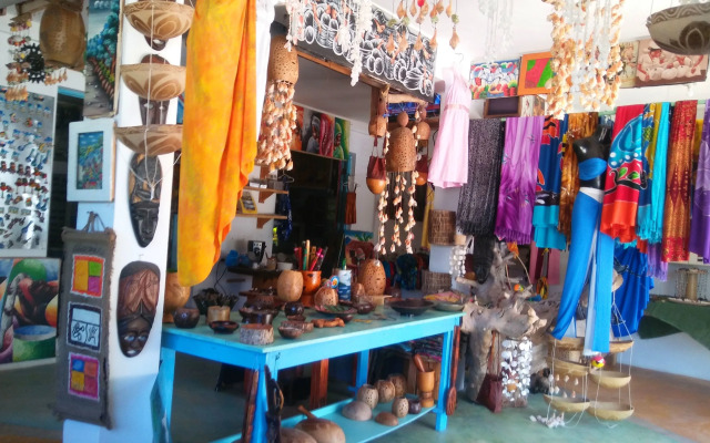 Hostel La Ballena Backpacker