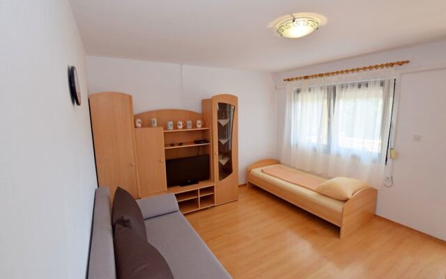 Apartment Sokol