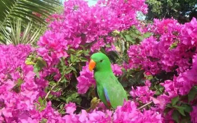 Villa Marine Holiday Apartments