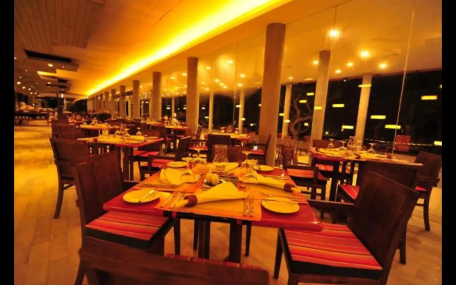 Hikka Tranz by Cinnamon