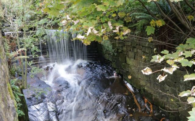 Brook Fall Cottage