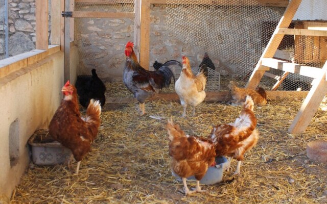 Casa Rural Els Matalapers