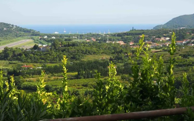 Sun Paradise Apartment