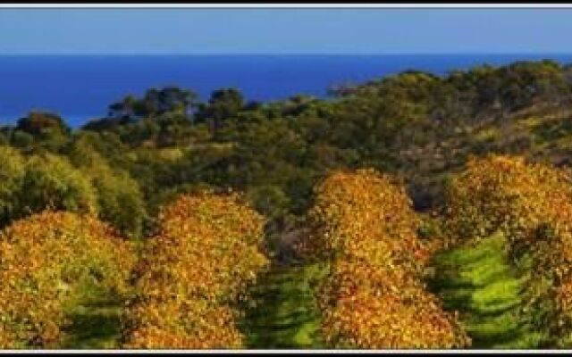 The Retreat at Chapel Hill Winery