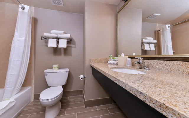 Holiday Inn Express Hotel & Suites Indio - Coachella Valley, an IHG Hotel