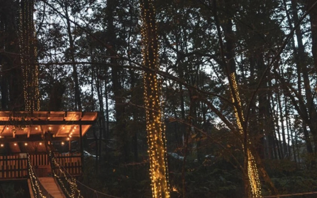 Bellota Incredible Lodge in the Forest With Private Jacuzzi