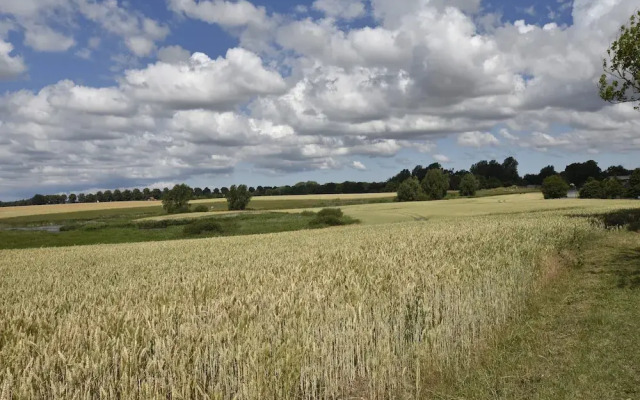 Ferienwohnung mit Liegewiese