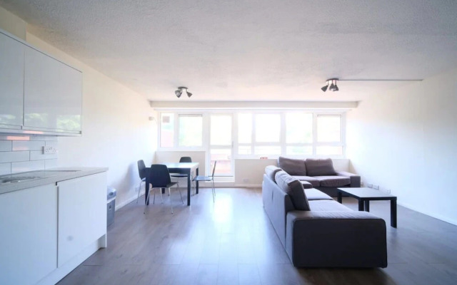 Spacious 3 Bedroom Apartment in Battersea With Terrace