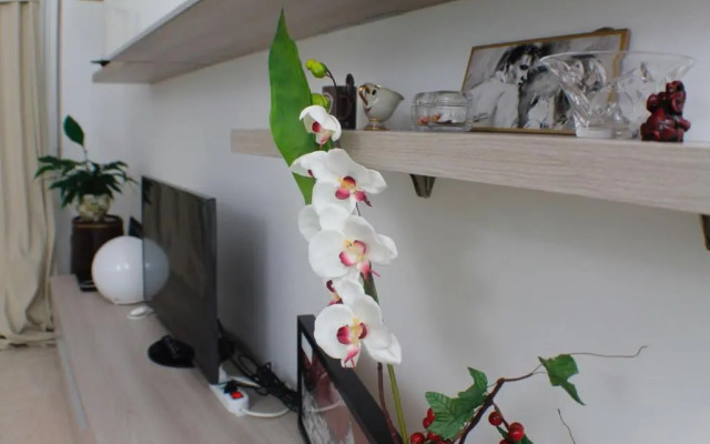 Vatican In The Moonlight Apartment