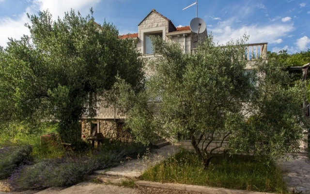 Apartments Villa Maslina