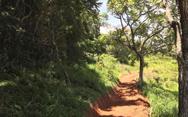 VELINN Hotel Fazenda Fonte das Hortênsias