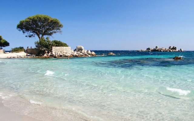 Résidence Belvedere de Palombaggia