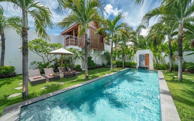 Villa Palm Tree