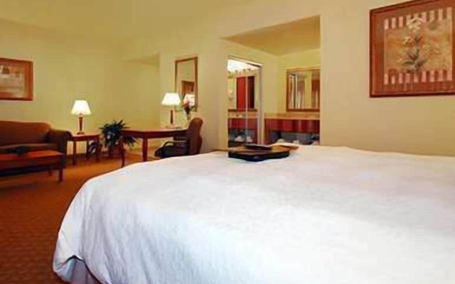 Hampton Inn & Suites Pharr