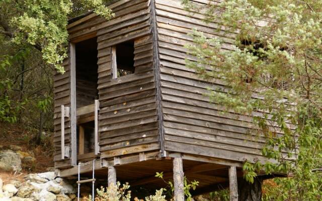 Spacious Holiday Home in Lorgues With Private Pool