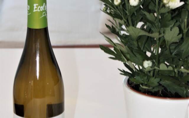 Ronda 4 Tierra del Mar Mediterraneo