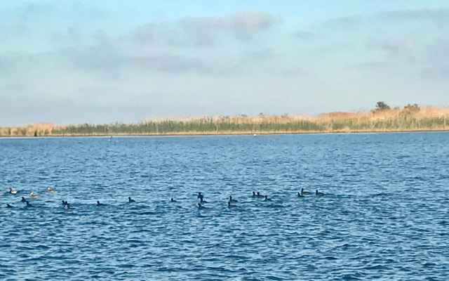 Apartamentos En Deltebre