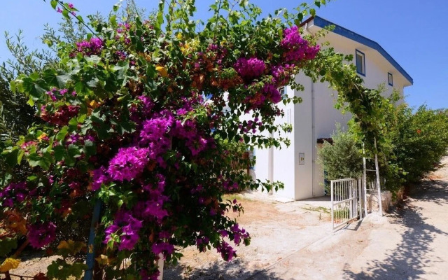 Villa Alfa by Akdenizvillam