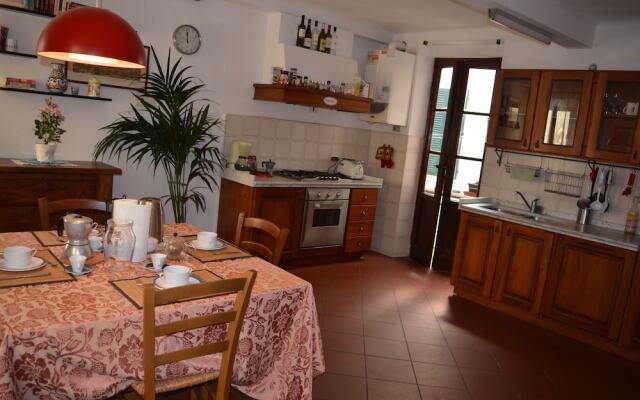 Domus.36 - Citta' Di Lucca