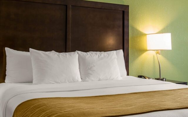 Comfort Inn Sylva - Cullowhee