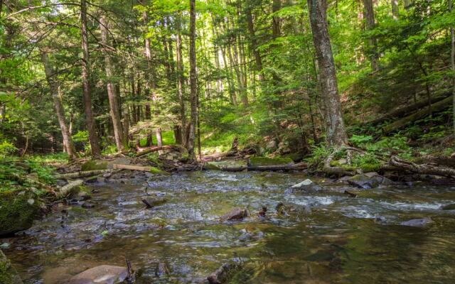 By the Stream 3 Bedroom House