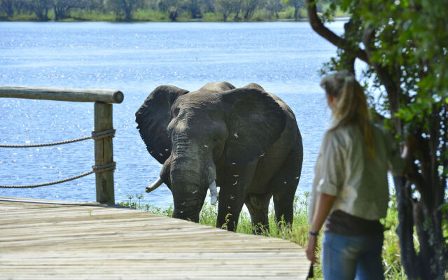 Victoria Falls River Lodge