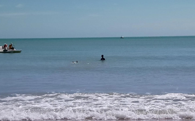 Conforto e melhor vista - 100 metros da praia