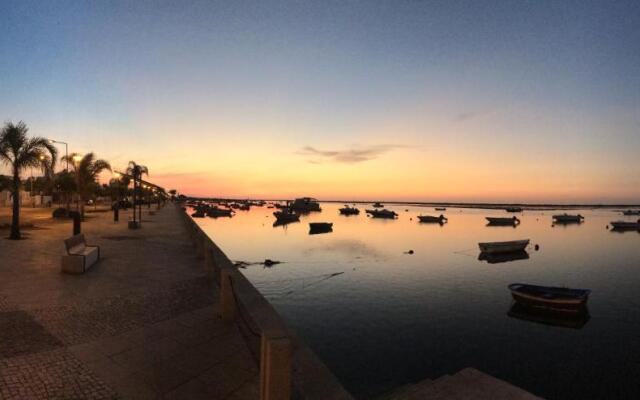 Flamingo Beach House