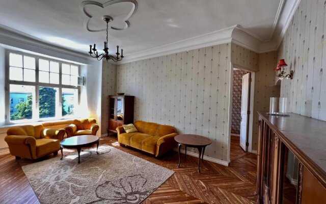 Lovely 3- room apartment in historical house - Vabriku 3