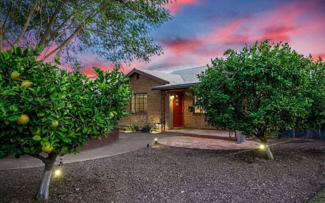 Sun-lit Phoenix Gem: Backyard Entertainment Patio!