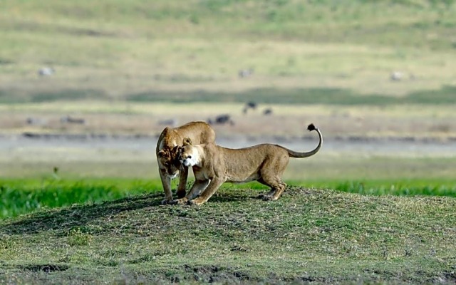 Ngorongoro Serena Safari Lodge