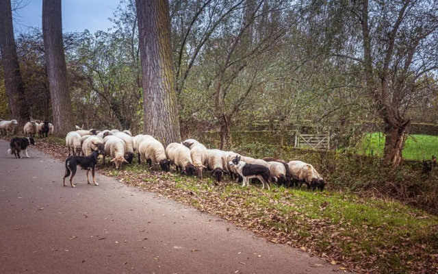 Ten huize Spientje