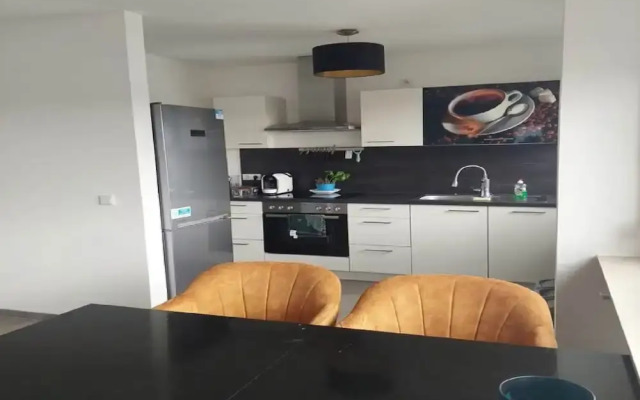 Modern Apartment With Balcony