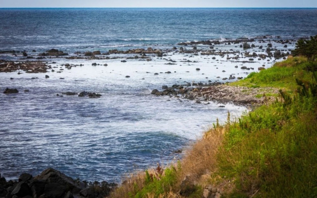 Pohang Bagliore Pension