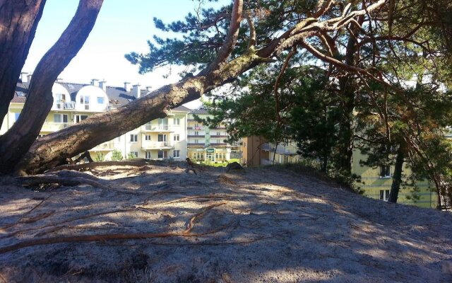 Apartamenty na Wydmie