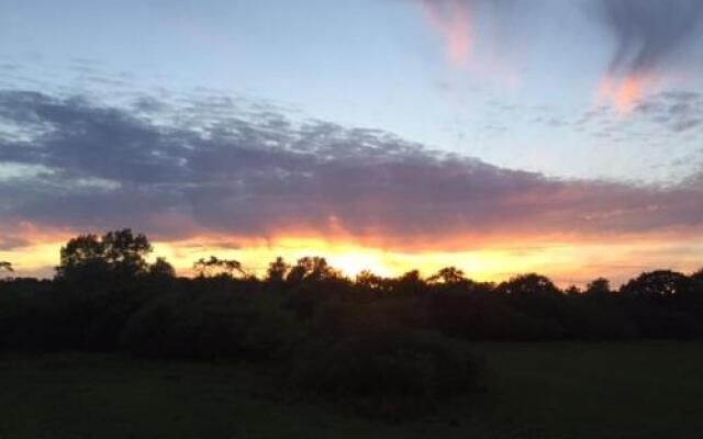 Auld Mother Hubbard's Burton