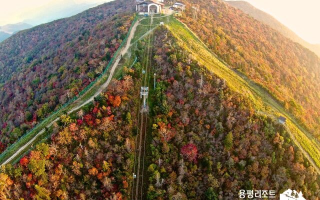 Yongpyong Resort Greenpia Condominium