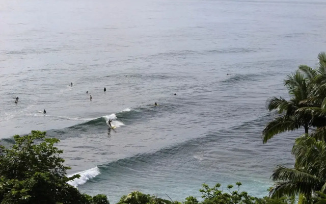 Hilo Honolii Bay Bed and Breakfast