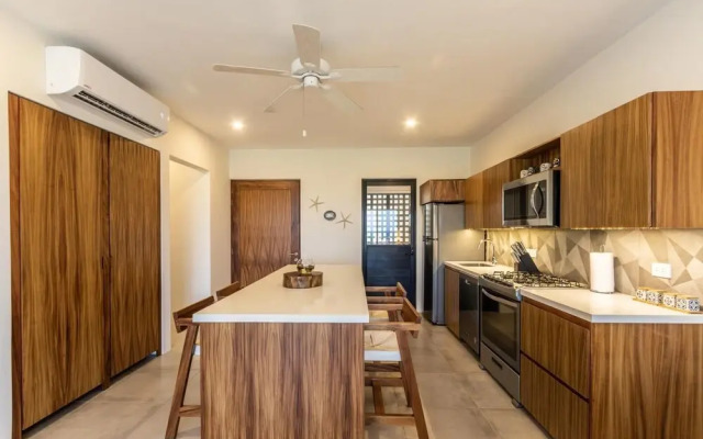 Agaves 204
